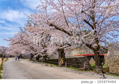 福島県会津若松市 桜咲く春の会津若松城のお堀と廊下橋 福島県会津若松市 桜咲く春の会津若松城のお堀と廊下橋 105974484