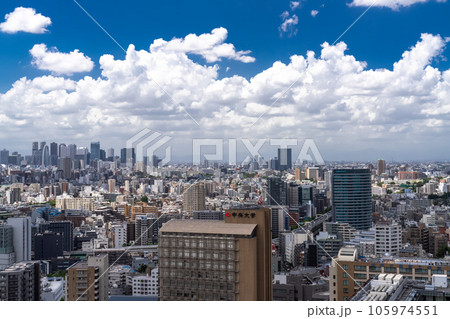 《東京都》夏空の東京都市風景 105974551