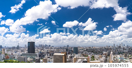 《東京都》夏空の東京都市風景 105974555