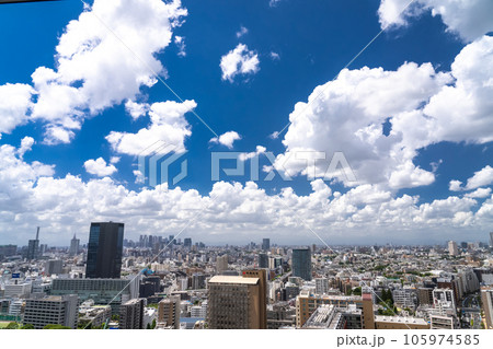 《東京都》夏空の東京都市風景 105974585