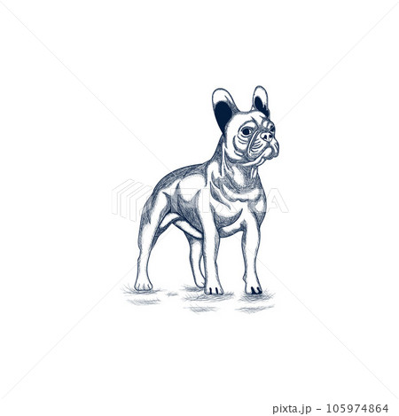 Animal Bulldog Standing line art design, logo icon vector design template, suitable for your company 105974864