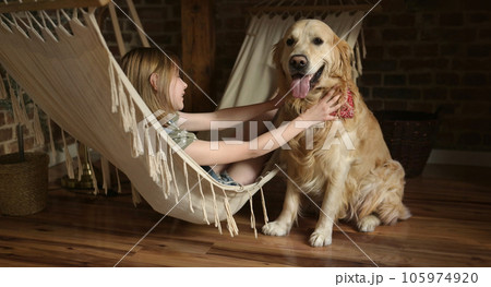 Child girl petting golden retriever dog lying in hammock at home and smiling. Pretty preteen kid with purebred pet doggy in loft room Child girl petting golden retriever dog lying in hammock at home and smiling. Pretty preteen kid with purebred pet doggy in loft room 105974920