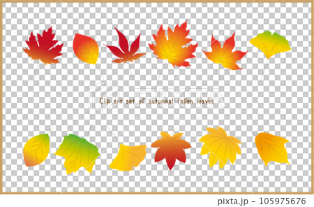 紅葉した落ち葉のカラフルなイラストセット イチョウ・楓・樫・メイプルリーフ・プラタナス・モミジ 105975676