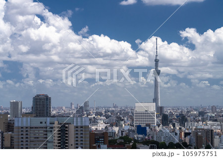 《東京都》スカイツリーと夏空の東京都市風景 105975751