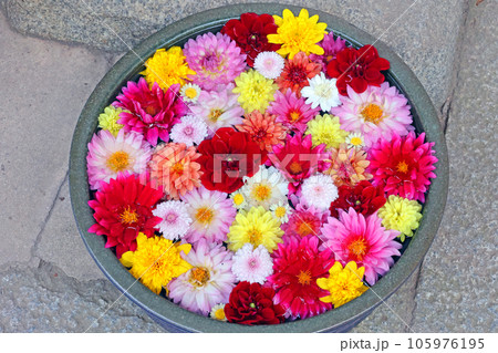 手水花 手水花 105976195