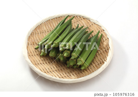 オクラ 105976316