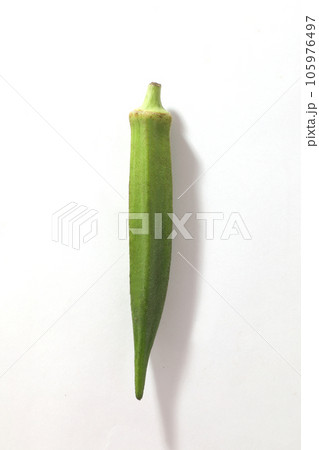 オクラ 105976497