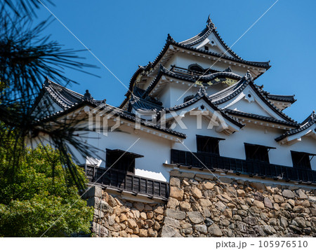 夏の彦根城天守閣　滋賀県彦根市 105976510