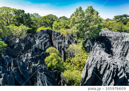 Petit Tsingy de Bemaraha, Madagascar wilderness landscape Petit Tsingy de Bemaraha, Madagascar wilderness landscape 105976609