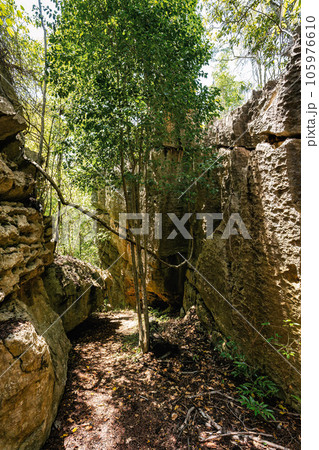Petit Tsingy de Bemaraha, amazing landscape, Madagascar wilderness landscape Petit Tsingy de Bemaraha, amazing landscape, Madagascar wilderness landscape 105976610