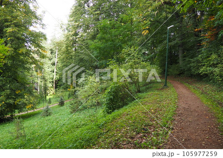 Banja Koviljaca, Loznica, Serbia. Mount Guchevo, park and forest, forest terraces. Withered leaves in September. Paths and paths for hiking. Calm ecological rest for recovery. Mixed European forest. Banja Koviljaca, Loznica, Serbia. Mount Guchevo, park and forest, forest terraces. Withered leaves in September. Paths and paths for hiking. Calm ecological rest for recovery. Mixed European forest. 105977259