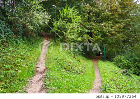 Banja Koviljaca, Loznica, Serbia. Mount Guchevo, park and forest, forest terraces. Withered leaves in September. Paths and paths for hiking. Calm ecological rest for recovery. Mixed European forest. 105977264