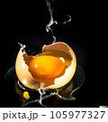 Exploding single egg with brown shell on black background Exploding single egg with brown shell on black background 105977327