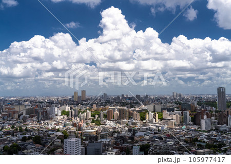《東京都》夏空の東京都市風景 105977417