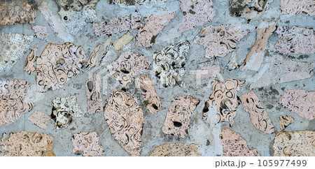 A gray city wall made of limestone and shell rock. Finishing building materials A gray city wall made of limestone and shell rock. Finishing building materials 105977499