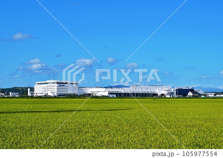 北海道当別町 ロイズタウン　チョコレート工場の風景 105977554