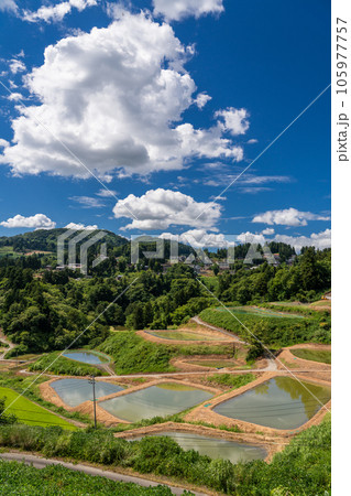 《新潟県》山古志の棚田・夏の棚田の原風景 105977757