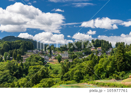 《新潟県》山古志の棚田・夏の棚田の原風景 105977761