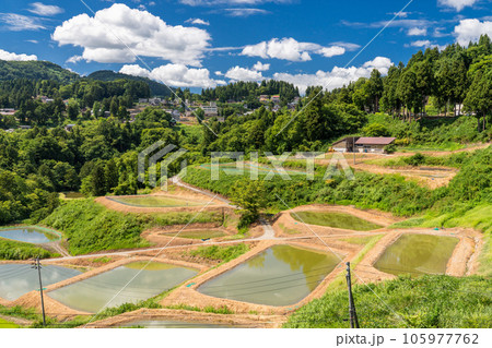《新潟県》山古志の棚田・夏の棚田の原風景 105977762