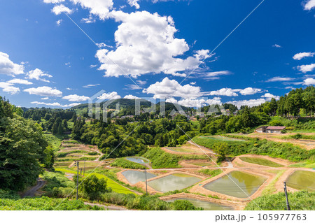 《新潟県》山古志の棚田・夏の棚田の原風景 105977763