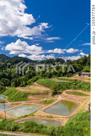 《新潟県》山古志の棚田・夏の棚田の原風景 《新潟県》山古志の棚田・夏の棚田の原風景 105977764