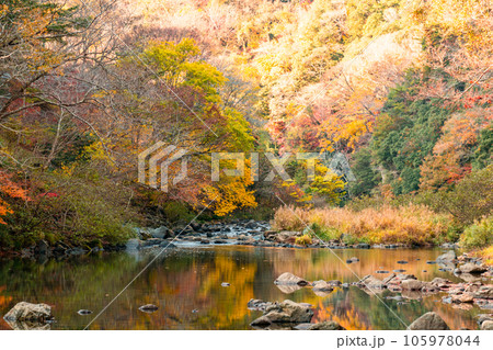 宇甘渓　宇甘川の紅葉　岡山県加賀郡吉備中央町 105978044