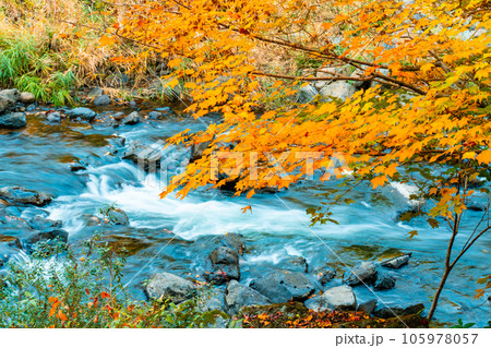 宇甘渓 紅葉と宇甘川7 岡山県加賀郡吉備中央町 宇甘渓 紅葉と宇甘川7 岡山県加賀郡吉備中央町 105978057