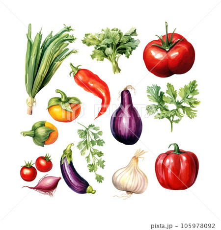 Vegetables watercolor in retro hand drawn style on white background. Summer element vector illustration. 105978092