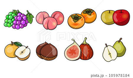 秋の果物のイラスト素材 105978184