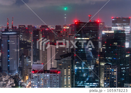 《東京都》深夜の東京都市風景 105978223