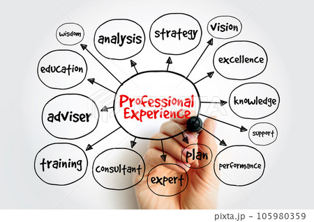 Professional experience mind map, business concept for presentations and reports 105980359