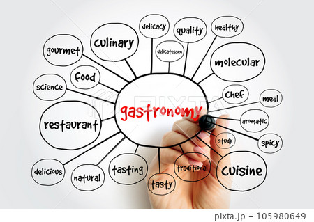 Gastronomy mind map, concept for presentations and reports 105980649