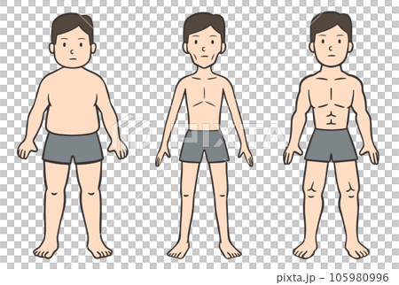 クレッチマーの性格類型論、肥満、細身、筋肉質の男性 105980996
