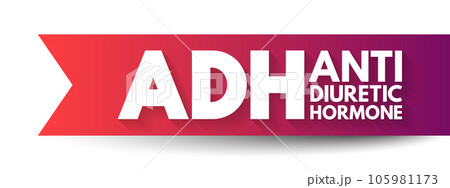 ADH Antidiuretic Hormone - nonapeptide synthesized in the hypothalamus, acronym text concept background 105981173
