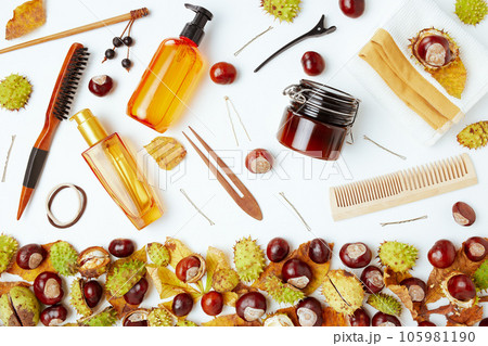 autumn flat lay with autumn leaves and chestnut autumn flat lay with autumn leaves and chestnut 105981190