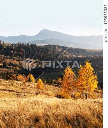 Autumn mountains in Ukrainian Carpathians Autumn mountains in Ukrainian Carpathians 105981323