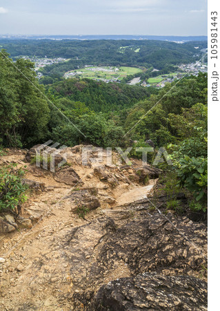 日和田山　登山道から見る巾着田【埼玉県・日高市】 105981443
