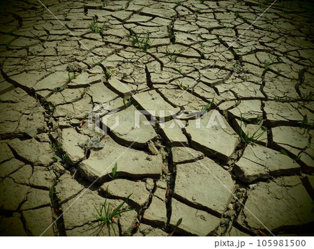 Deep cracks in the land as a symbol of hot climate and drought. Desert and cracked ground. Uneven, swollen ground. Emptiness and death. Ecological and natural theme. Vignetting 105981500