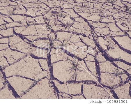 Deep cracks in the land as a symbol of hot climate and drought. Desert and cracked ground. Uneven, swollen ground. Emptiness and death. Ecological and natural theme Deep cracks in the land as a symbol of hot climate and drought. Desert and cracked ground. Uneven, swollen ground. Emptiness and death. Ecological and natural theme 105981501