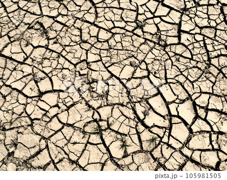 Deep cracks in the land as a symbol of hot climate and drought. Desert and cracked ground. Uneven, swollen ground. Emptiness and death. Ecological and natural theme 105981505