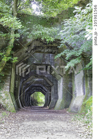 廃線跡や廃墟好きの方におすすめの熊延鉄道遺構　八角トンネル（熊本県美里町） 105981566
