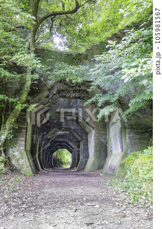 廃線跡や廃墟好きの方におすすめの熊延鉄道遺構　八角トンネル（熊本県美里町） 105981567