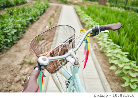 Retro bicycle with basket flowers. Flower field on the sunny morning. Beautiful flower seedlings growing in the soil at the garden. Gardening hobby concept. Retro bicycle with basket flowers. Flower field on the sunny morning. Beautiful flower seedlings growing in the soil at the garden. Gardening hobby concept. 105981916