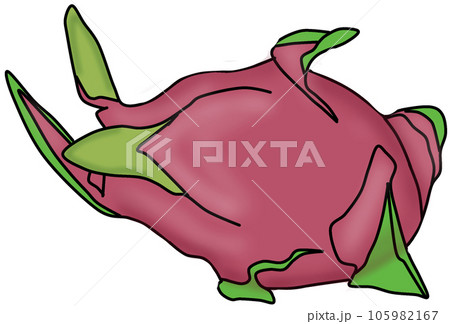 dragon fruit 105982167