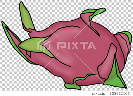 dragon fruit 105982167