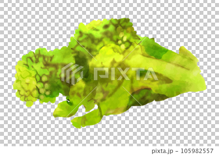 植物油 105982557