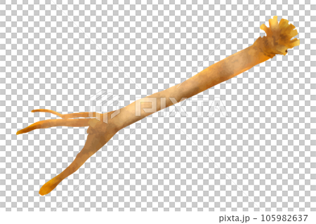 堀川博士 105982637