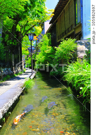 【岐阜県】郡上八幡のいがわこみち 【岐阜県】郡上八幡のいがわこみち 105982697