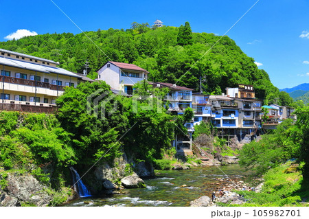 【岐阜県】吉田川と新緑の郡上八幡城 105982701
