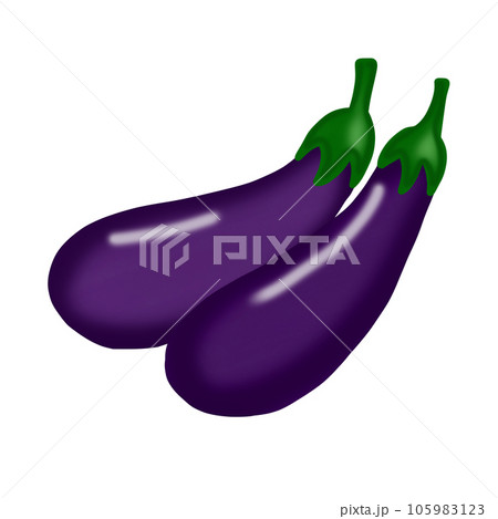 Eggplant Eggplant 105983123